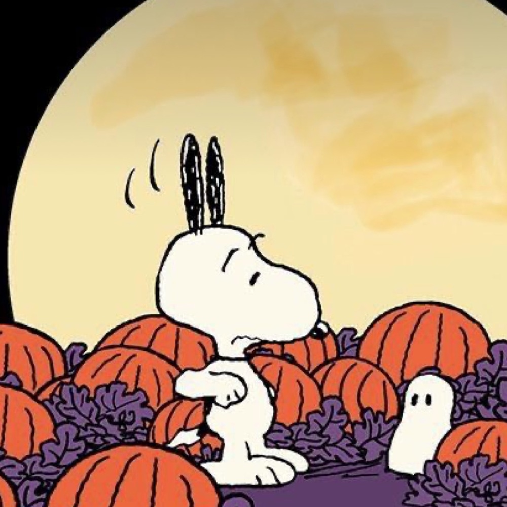 COPY - bundle 🎃